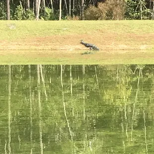 Nocatee Landing