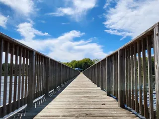 Reddie Point Preserve