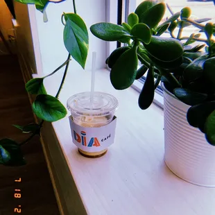 Día café dulce de leche Coffee