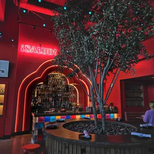 a tree in the center