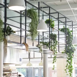 the interior of the restaurant