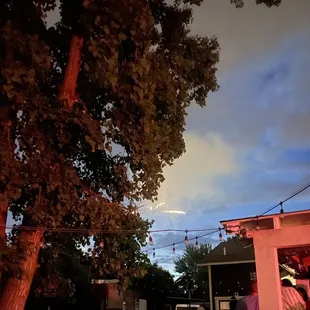 Tree needs trimmed for the fireworks display! View from patio during Powell Fest.