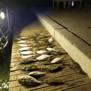 Rockport flounder gigging with Captain James