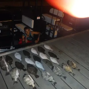 Lots of nice flounder witha few sheaphead and drum Nocturnal Assault Flounder Charters out of Aransas Pass. Fishing Guide
