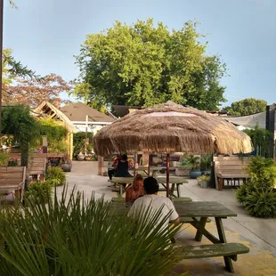 Outside oasis