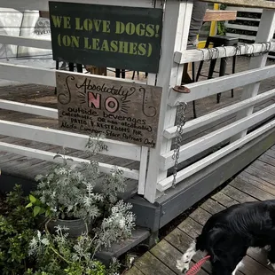 Dog friendly!