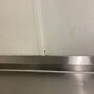 Now this roach is the cousin or whatever but this is there regular route but there are hundreds of them right below this wall