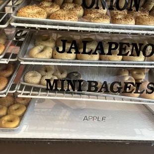a display case of bagels