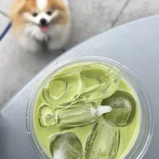 Iced Matcha Latte w/ oat milk | $7.25