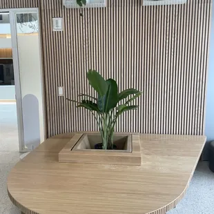 Cute seating and plants