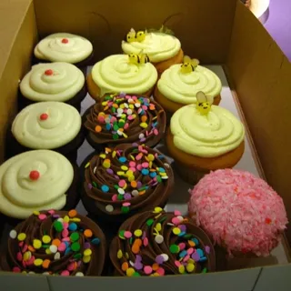 Chocolate Fudge Cupcake