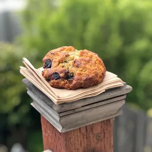 Blueberry &amp; pecan scone