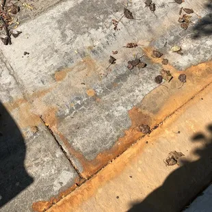 Sloppy stain on curb leading into the street