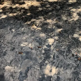 Half antiqued job