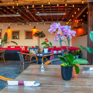 Covered &amp; overhead-heated Back Patio Space