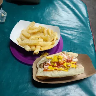 a hot dog and french fries