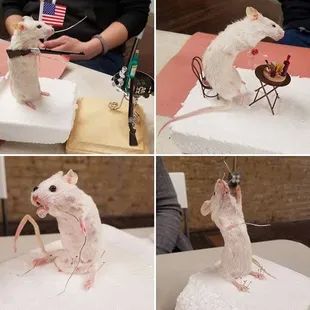 Taxidermy Class by Half Embalmed