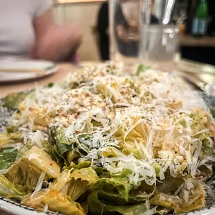 CAESAR SALAD
 kimchi dressing, panko breadcrumbs, parmesan / 13