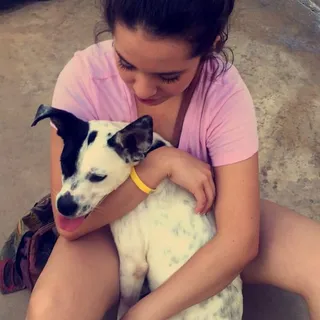 Litsy S.