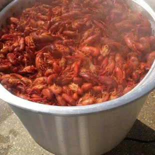Crawfish Boil