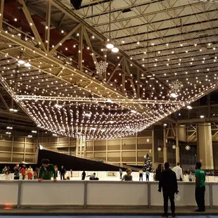Skating Rink