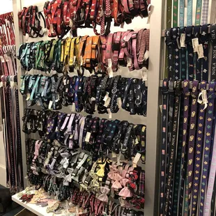 Best collars &amp; leashes