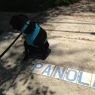Sporting NOLA Couture on Panola Street; stylish on a hot Sunday Uptown.