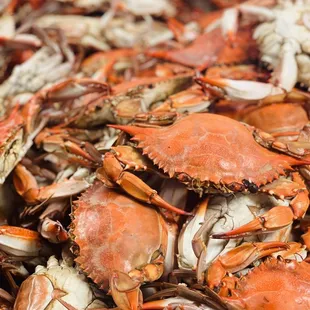 Pontchartrain Blue Crabs