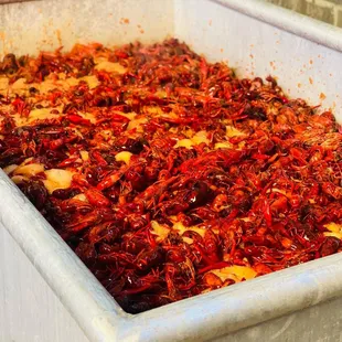 Pot of crawfish