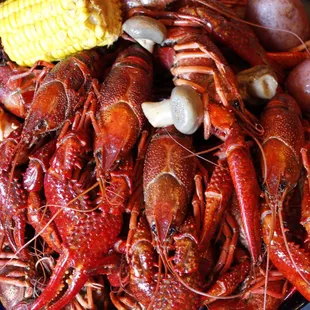 Boiled Crawfish