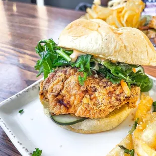 Spicy Fried Chicken Sandwhich