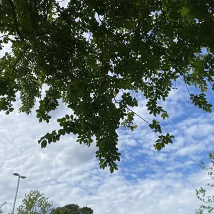Beautiful day