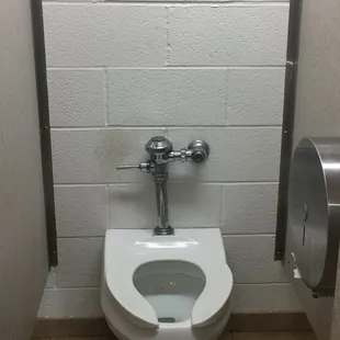 Clean and working toilet