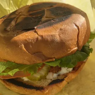 Nashville Hot Chicken