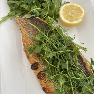 Branzino