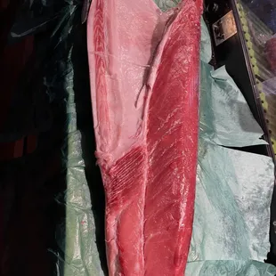 Fresh Bluefin tuan air freight every week