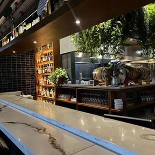 oysters and mussels, outside