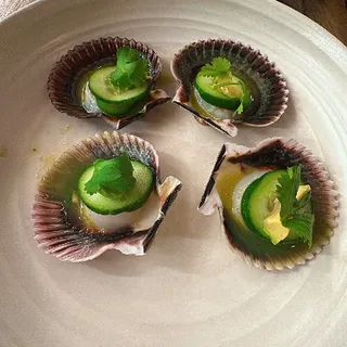 SCALLOP AGUACHILE