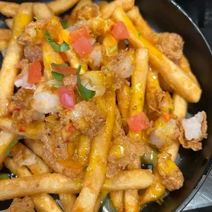 Loaded Fries