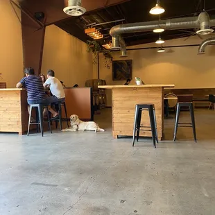 Indoor seating area - dog friendly!