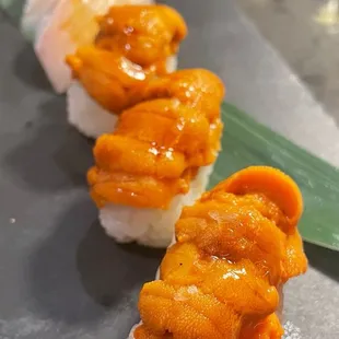 Madai &amp; Hokkaido Uni nigiri