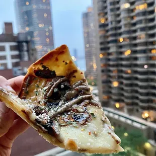 Tartufata @fork.the.world