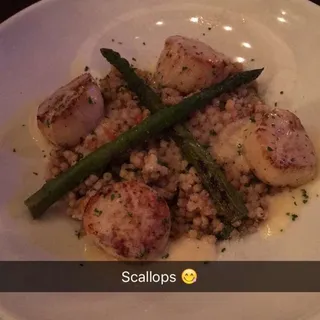 North Atlantic Sea Scallops