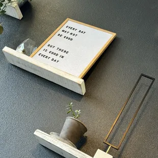 a plant in a pot on a shelf