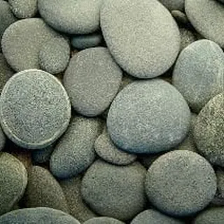 M G.