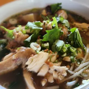 Bitter Melon Soup (Chicken Noodle Soup) - tasty