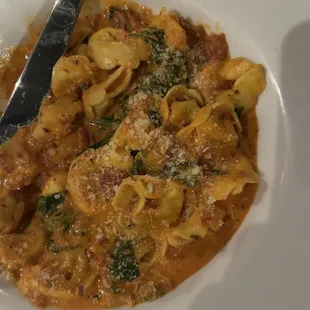 Short Rib Tortellini. Amazing. Sauce was delicious