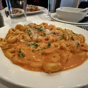 pasta, pasta dish, food