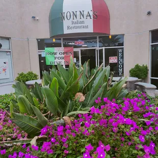 purple flowers in front