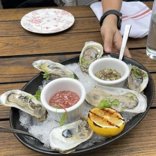 Oysters